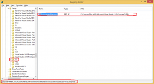 vsRegistryPath_VS2012