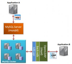 LDAP and SQL access to Cluster